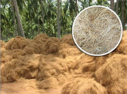 Coconut fibre