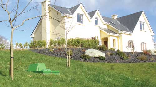 Novo in garden